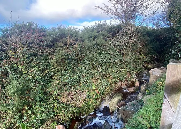 Kemp The Getaway - The Hen Harrier - Luxury Glamping With Hot Tub - Adults Only Dungarvan (Waterford)